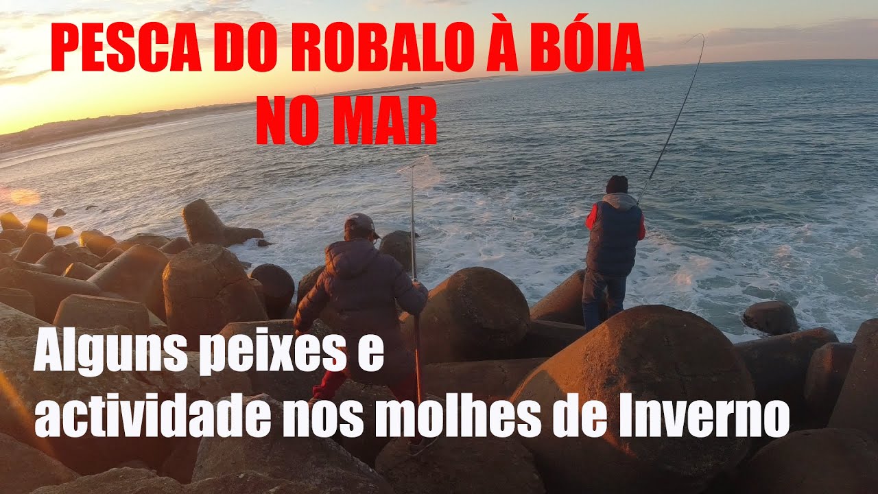 Pesca à bóia no Mar Ao Robalo nos molhes