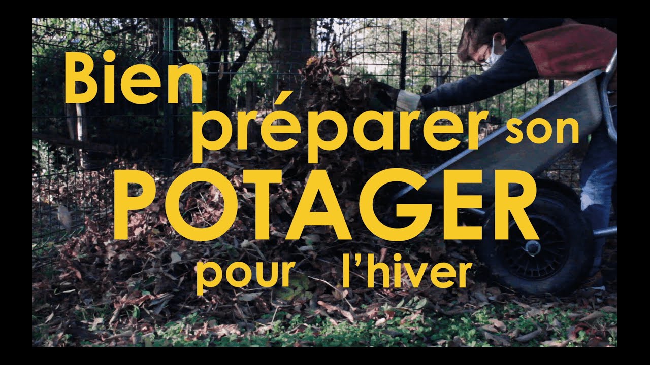 Préparer son potager pour l'hiver 3/3 : Semis d'engrais vert