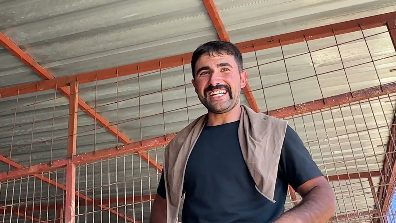 GÜNLÜK İŞLER 
