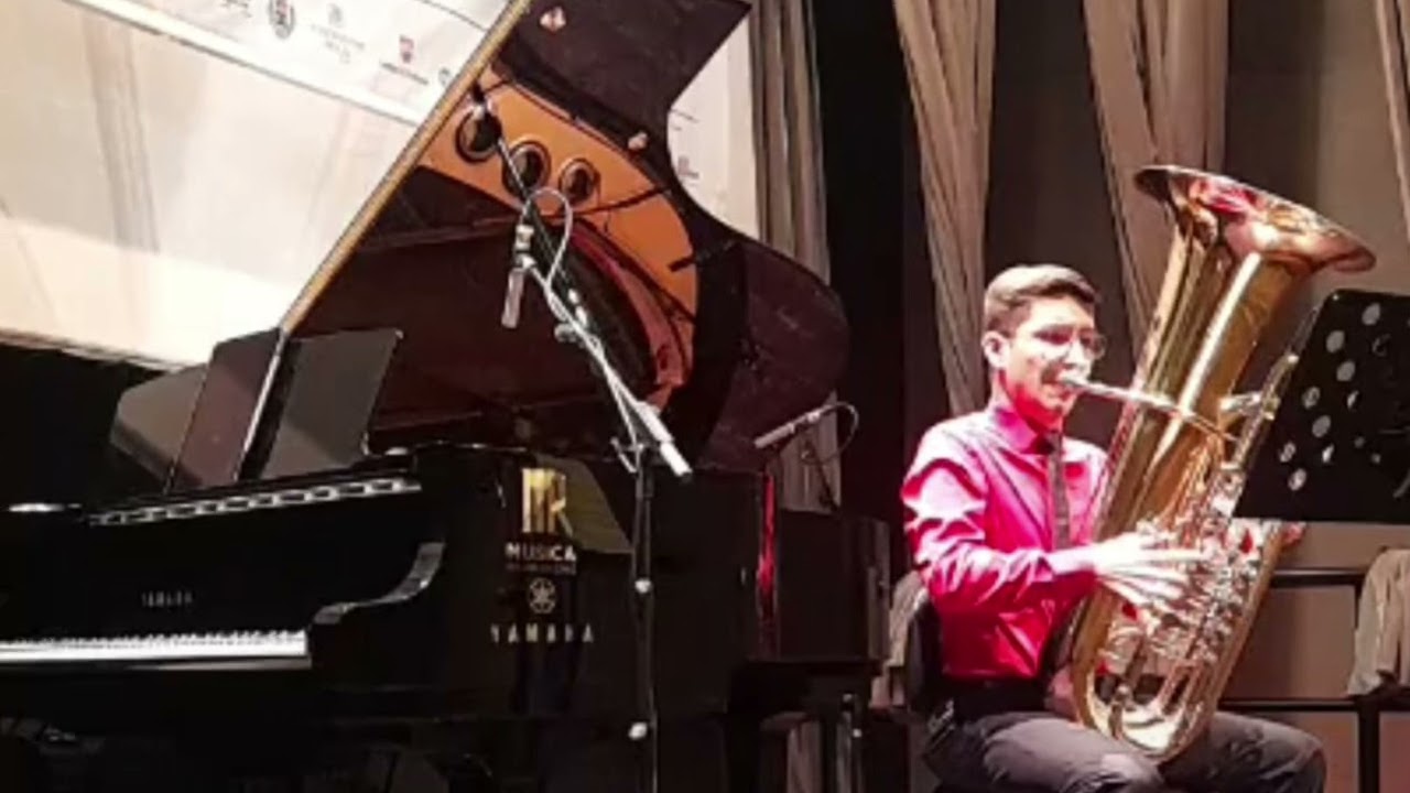 Tomaso Albinoni: Concerto for Oboe in D minor