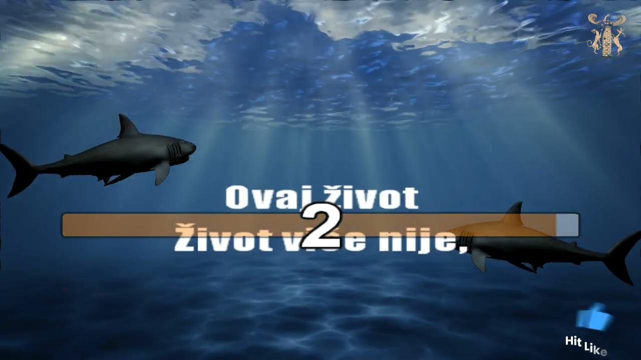 Nije mene duso ubilo - Karaoke version with lyrics