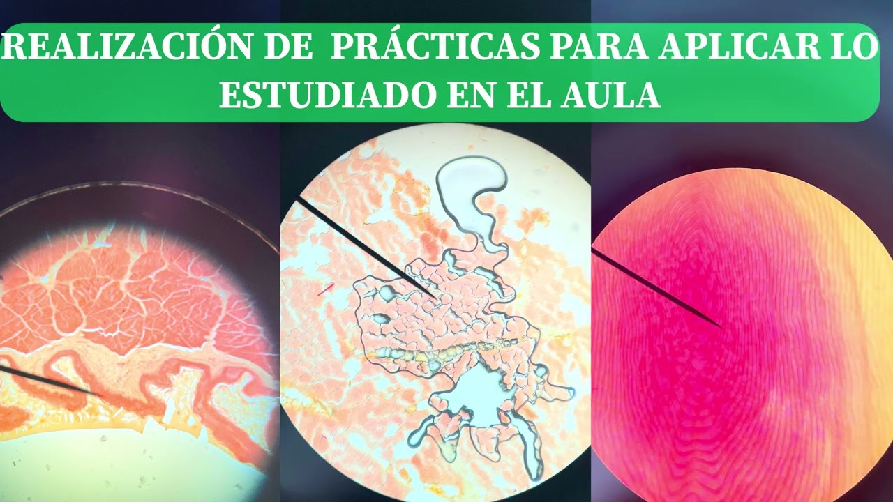 IES Aguas Vivas (visión 3)