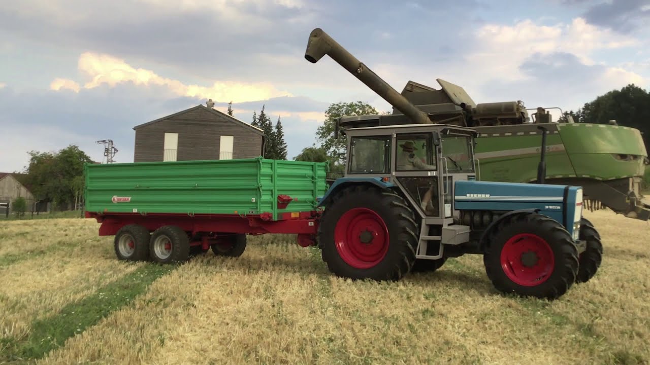 Eicher 3105  - Sommergerstenernte mit Fendt 6335 CPL Mähdrescher