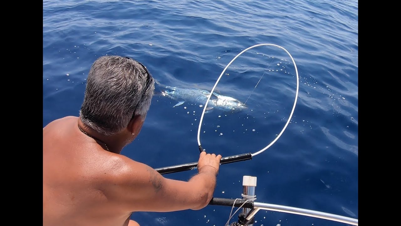 Tuto pêche au broumé au thon avec pité en direct
