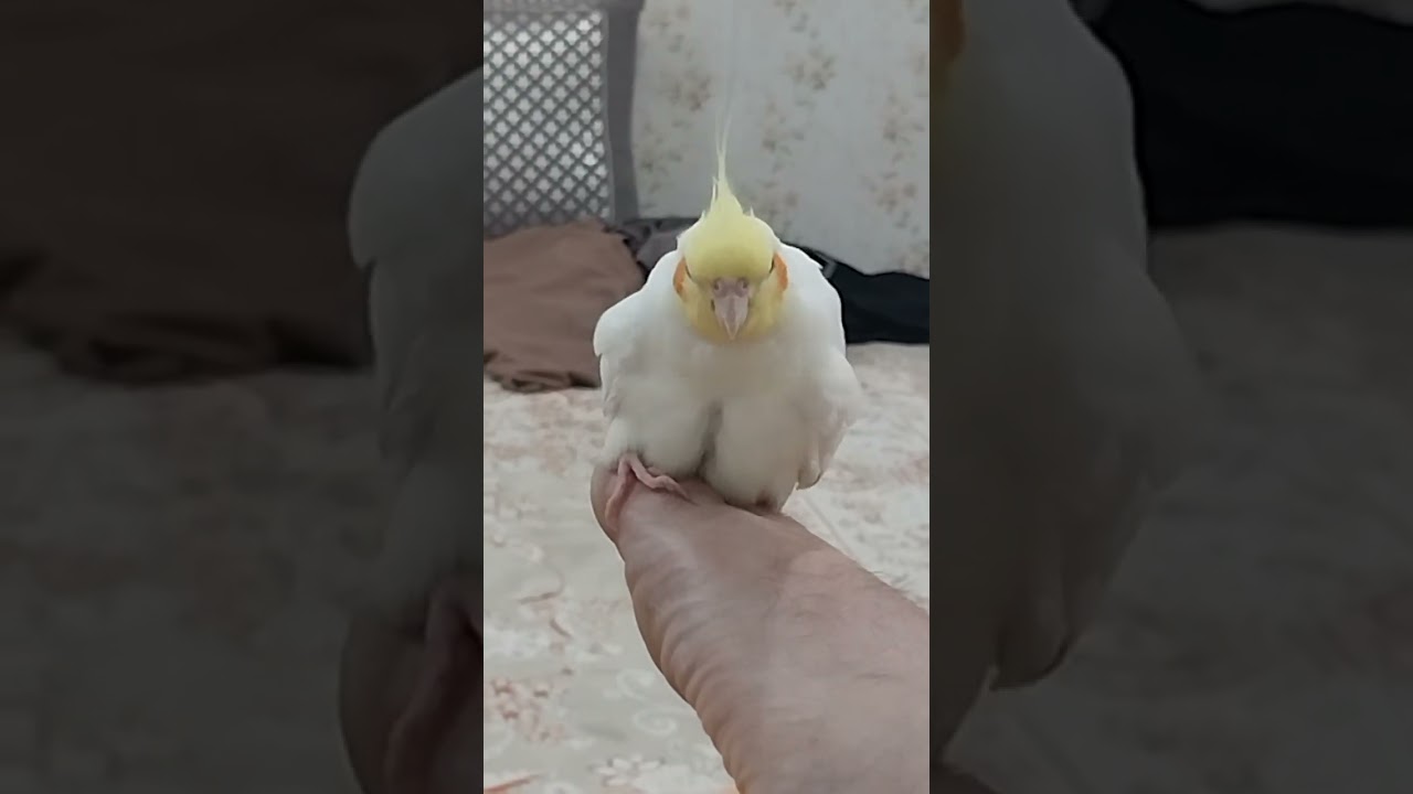 ۲۳ دسامبر ۲۰۲۵