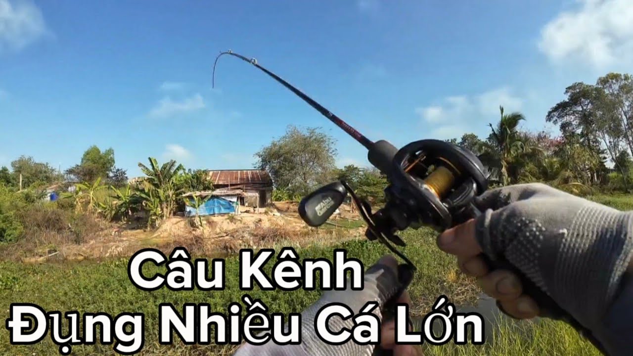 Câu Kênh Bắt Cá Lớn Nhái Hơi Mini Chinh Phục Hugo Dưới Đám Cỏ Câu Cá Lóc (Video 21)