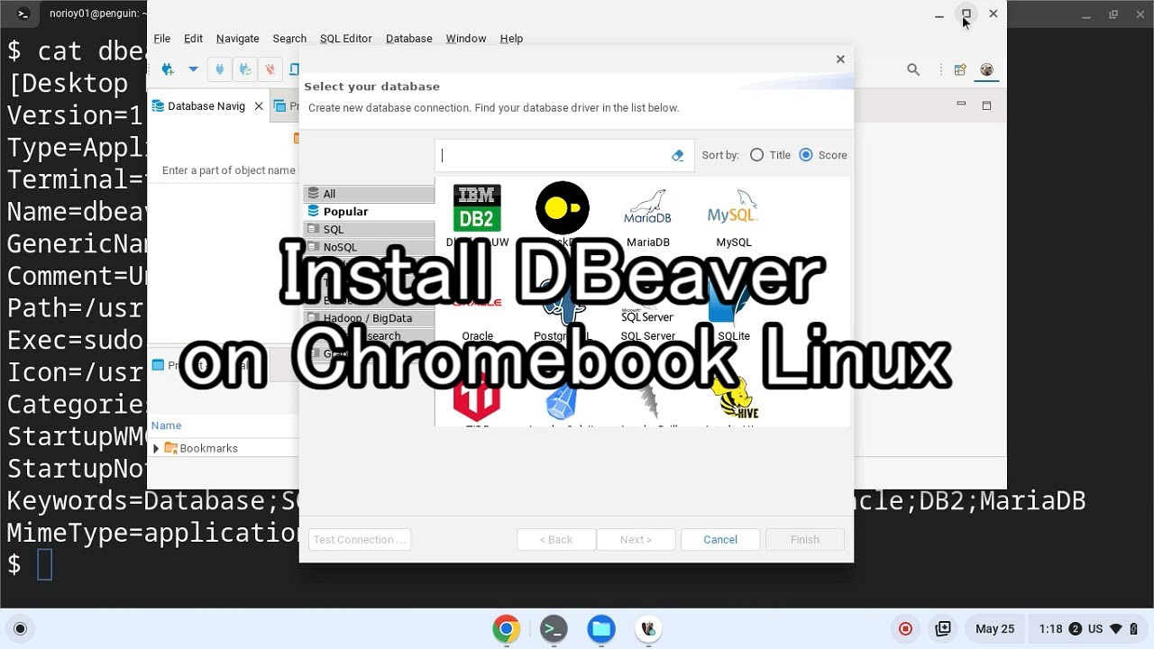 Install DBeaver on Chromebook Linux