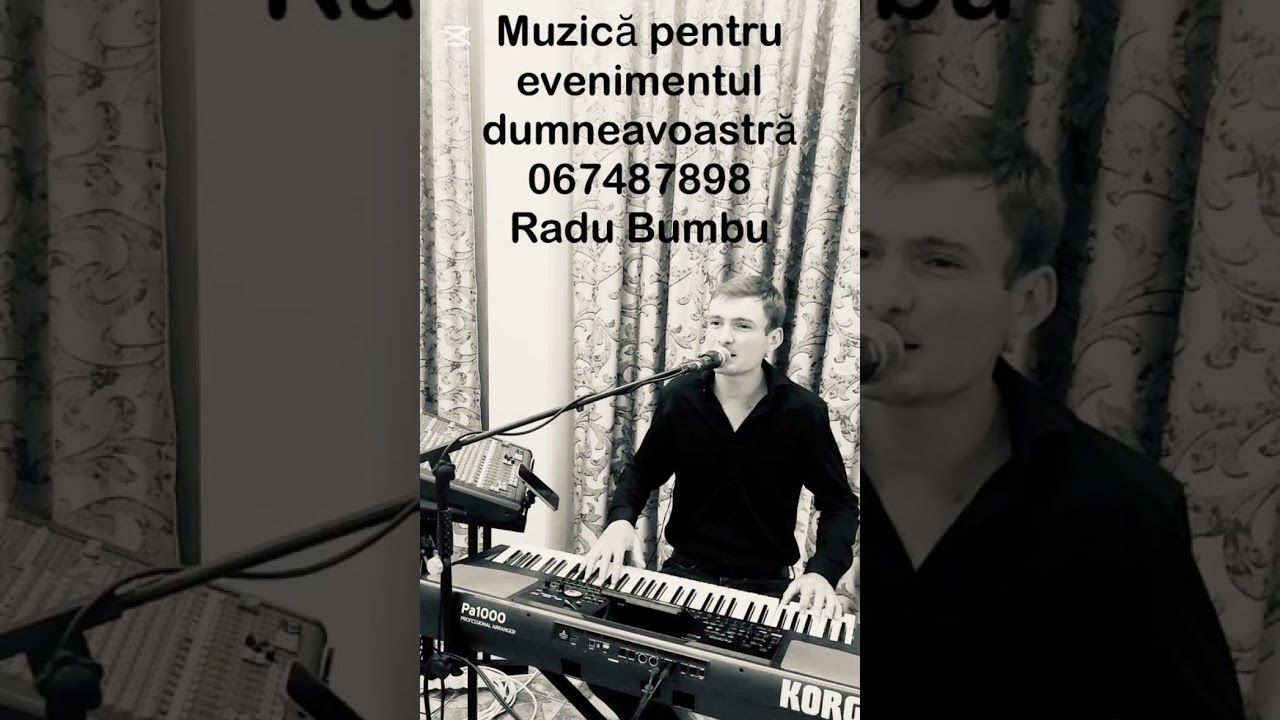 Radu Bumbu - Hora-n patru părți