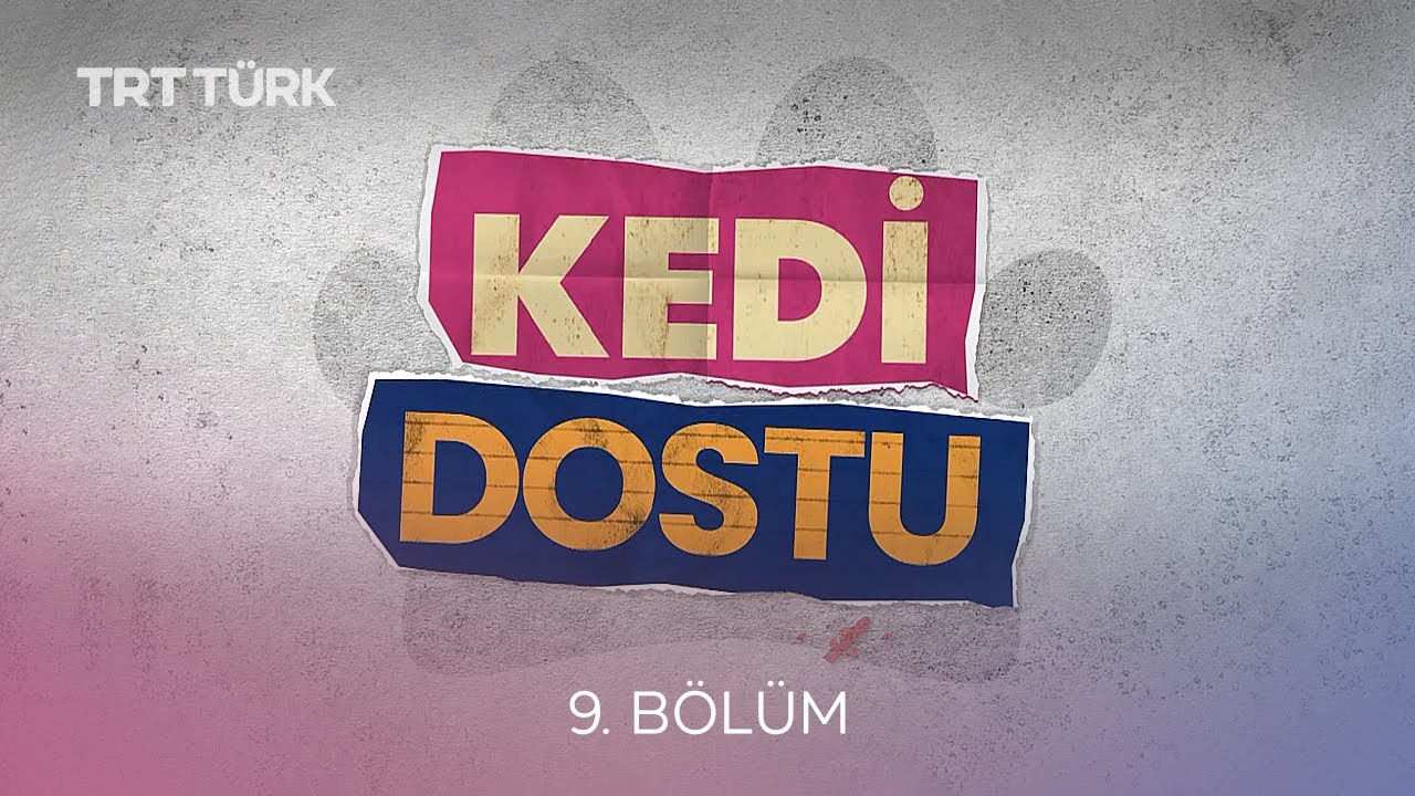 İç Dış Parazit Aşıları | Kedi Dostu - 9. Bölüm