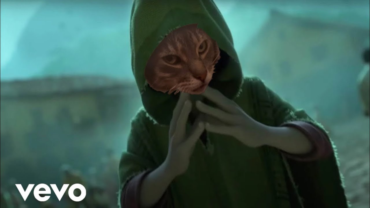 We don’t talk about bruno (Pets Version) #encanto #disney #pets #cat #dog