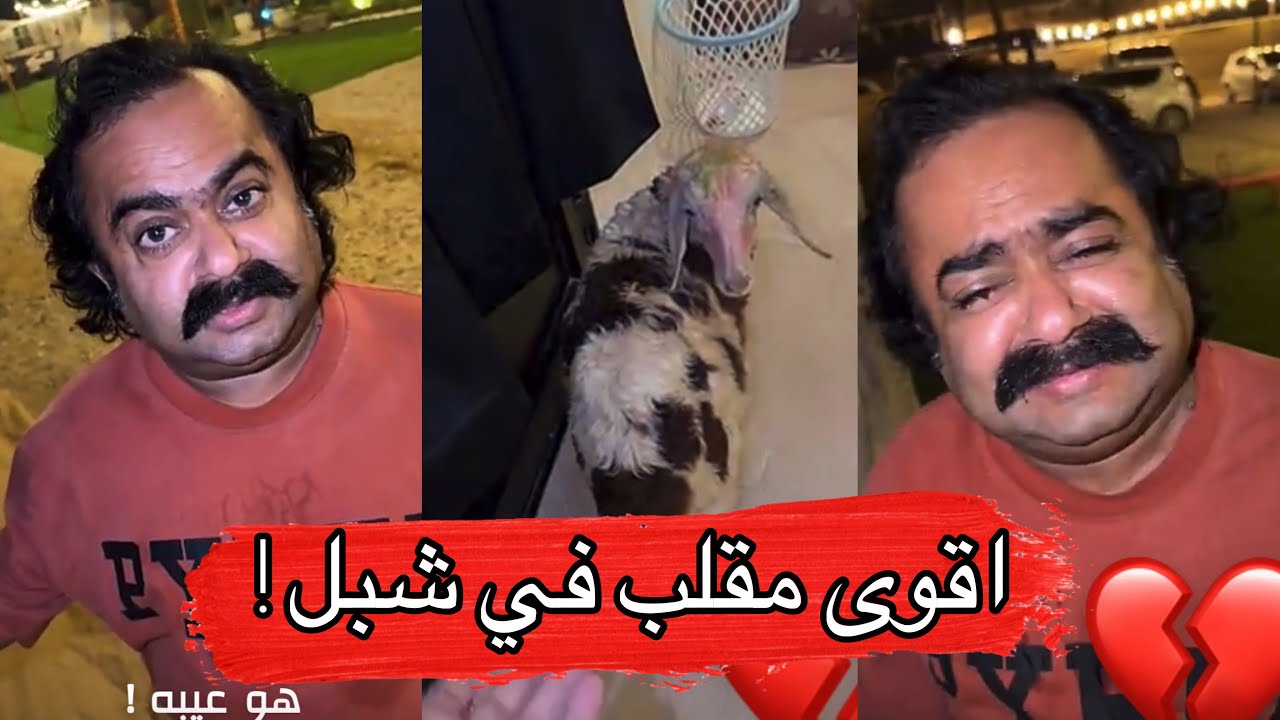 مايد الانصاري [726] اقوى مقلب في شبل خروفه 😂💔