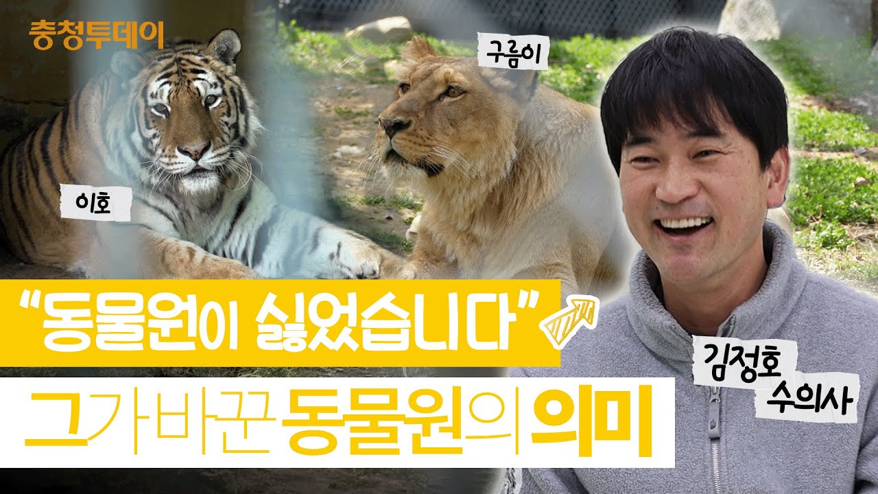 김정호 수의사가 전하는 동물원에서 진짜로 봐야 할 것ㅣ청주동물원ㅣ'갈비사자' 바람이ㅣ구름이ㅣ'순둥이' 호랑이 이호