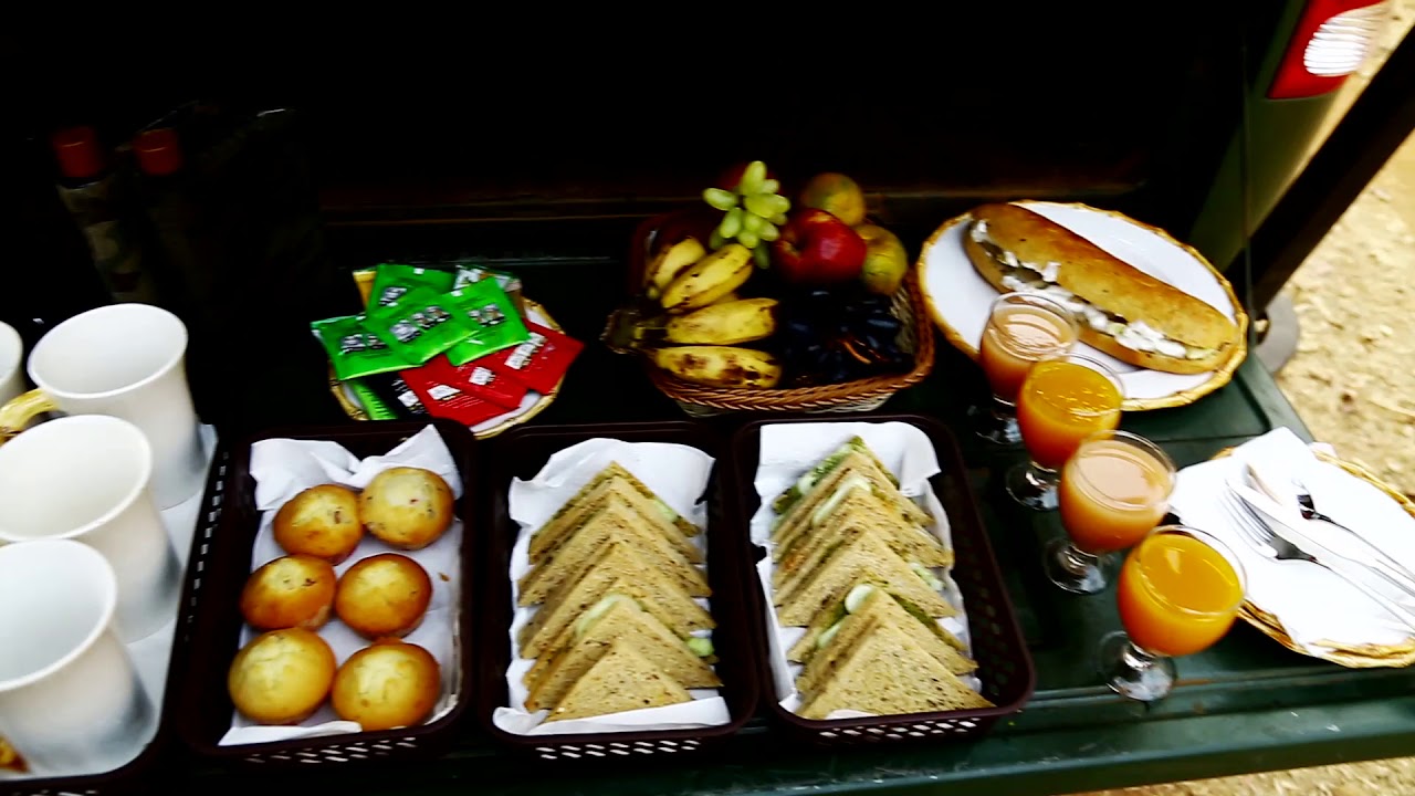 THE BAMBOO FOREST SAFARI LODGE, TADOBA