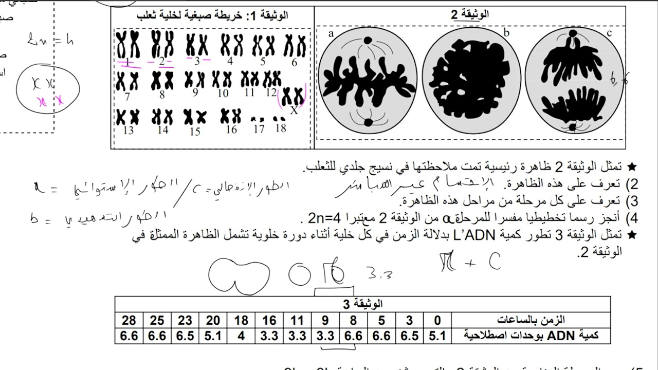 تمارين في مفهوم الخبر الوراثي