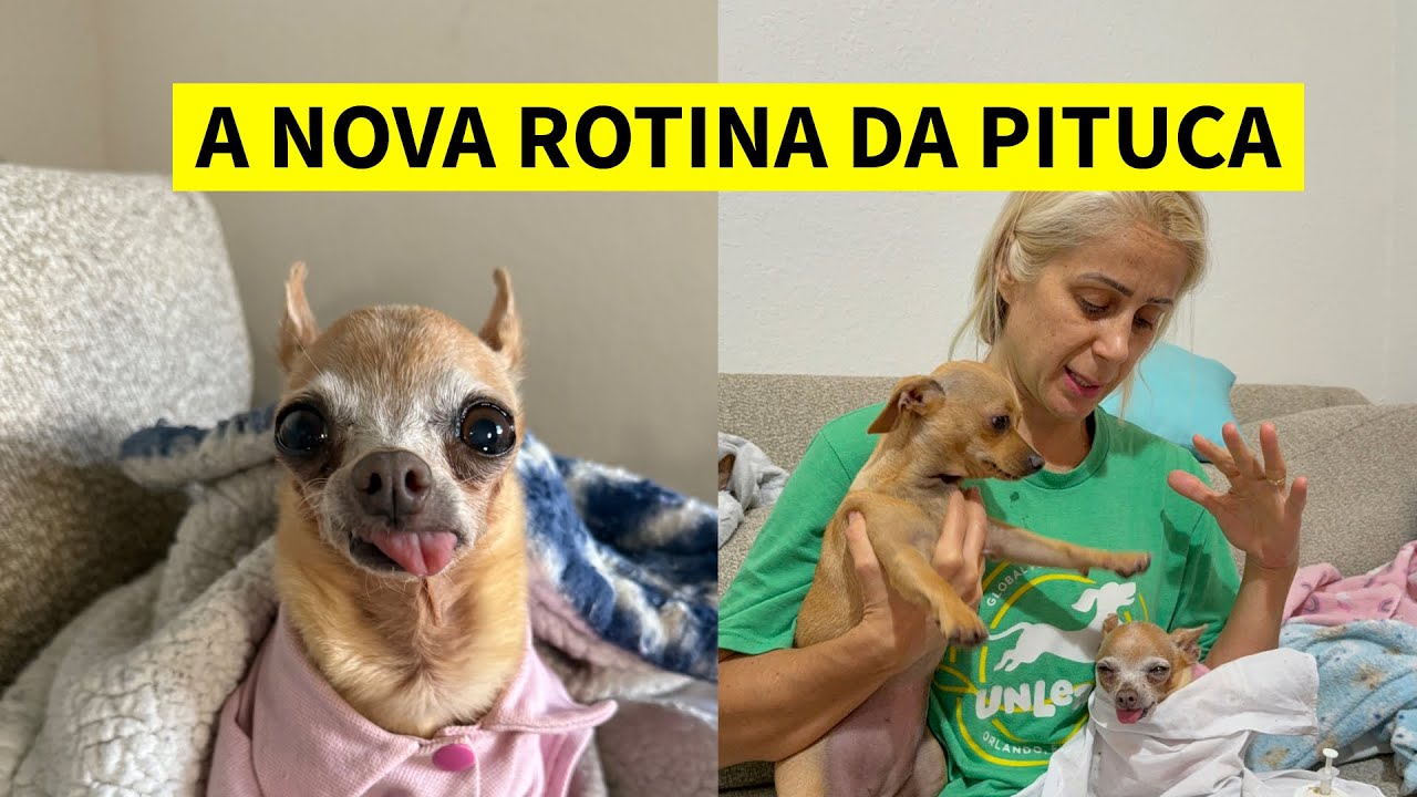 A NOVA ROTINA DA PITUCA 