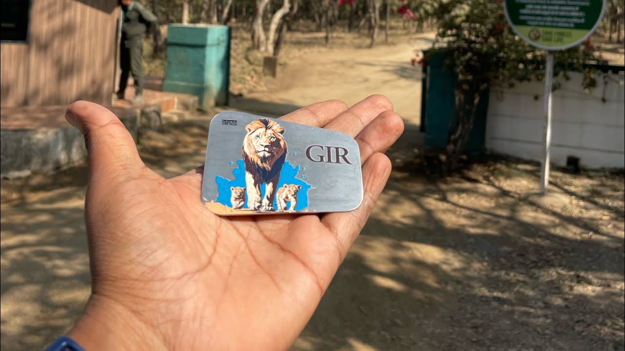 Day 2 | Gir Lion Jungle Safari #sasangir #jungleadventure 