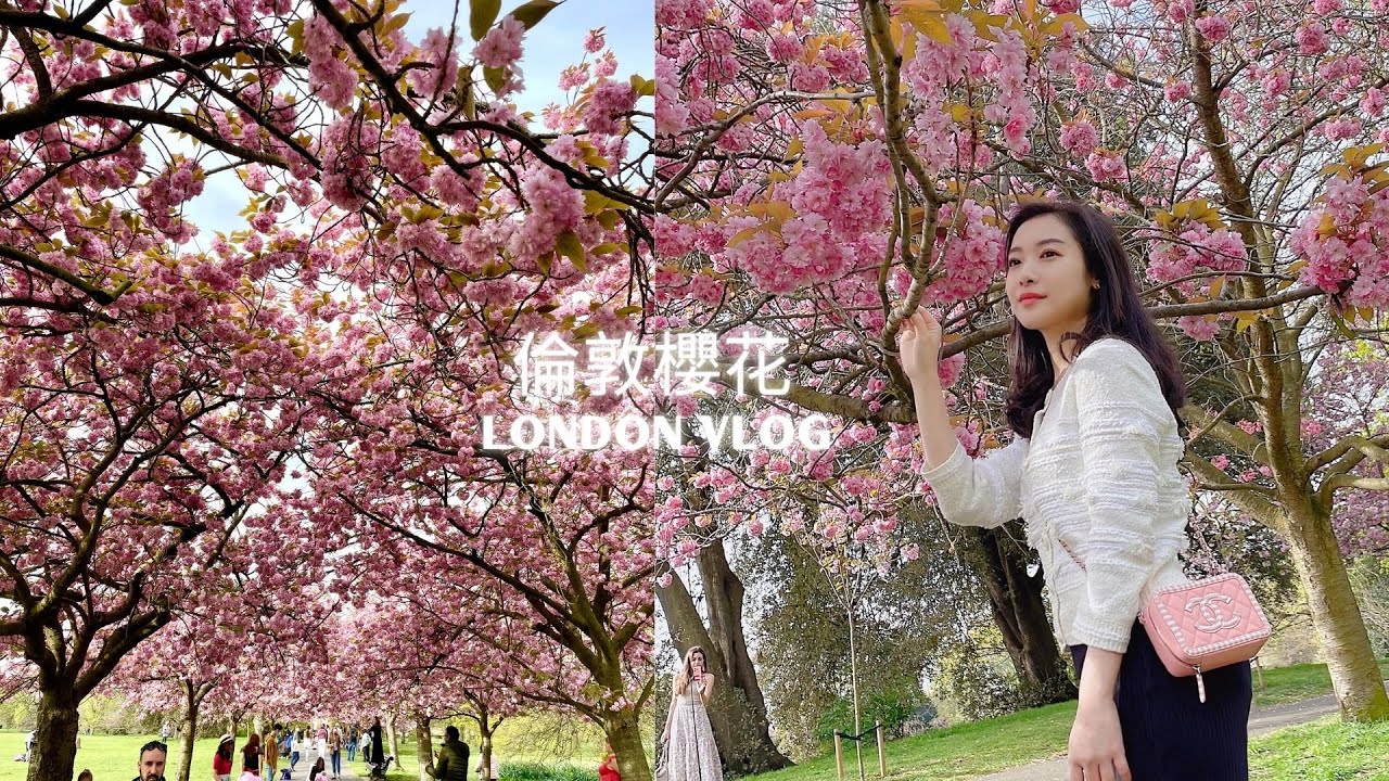 London vlog | 倫敦生活日常,倫敦櫻花季🌸打卡櫻花路太漂亮💗以為去了日本看櫻花,香港也有的烏冬店太普通？🍜自家醃鹹蛋🥚炒蝦太好吃了🦐復活節計劃泡湯💔