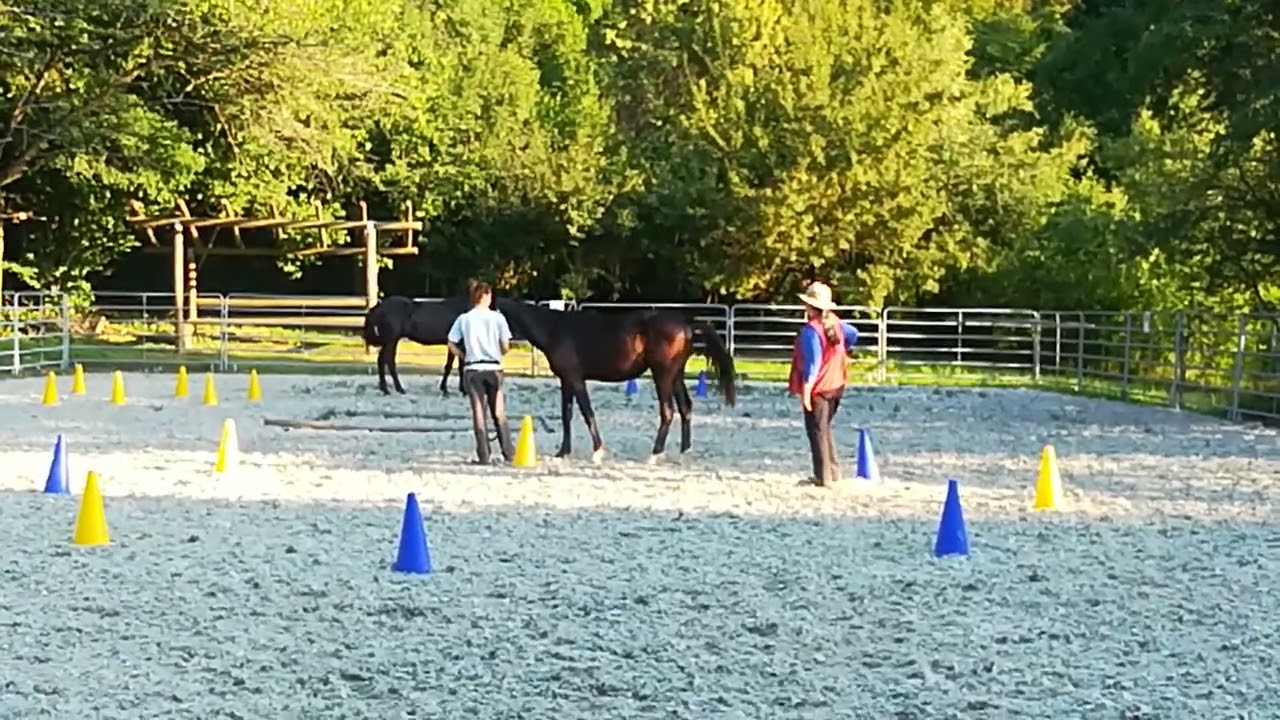 Galileo year 1 - clinic with Alexandra Kurland