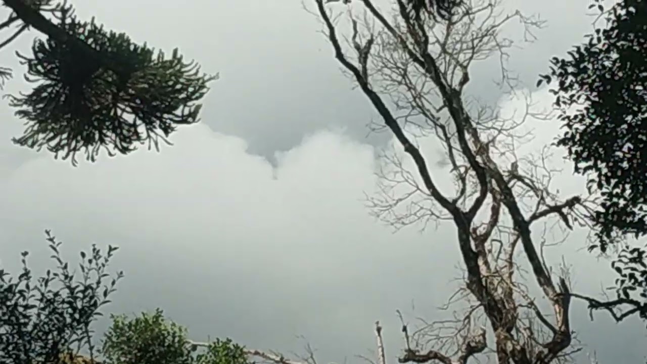 REVELAÇÃ  DiIVINA 🙏❤️AMOR DEUS 