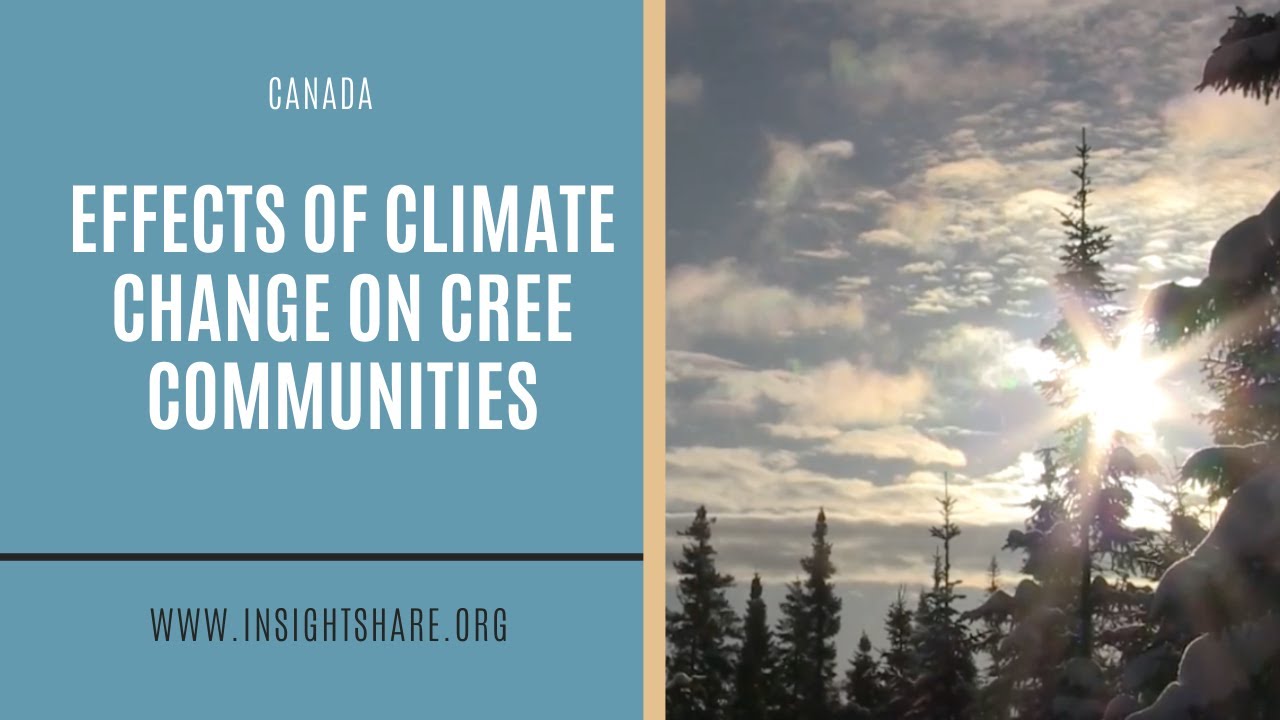 Effects of climate change on Cree Nation of Mistissini Canada (FULL)