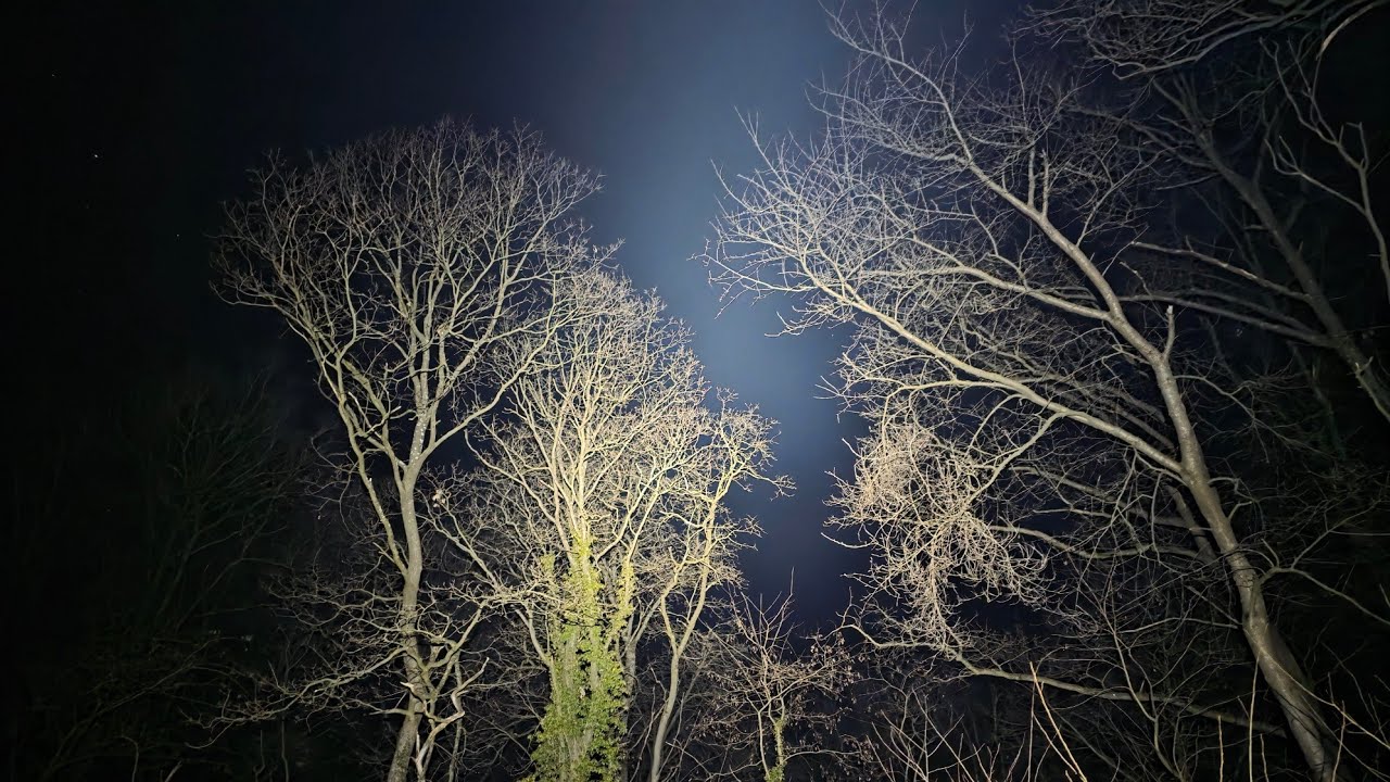 Petzl Swift RL 2024, all light modes at night