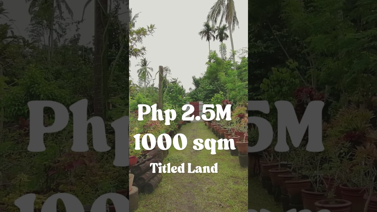 Mini-Farm For Sale in San Pablo City Laguna