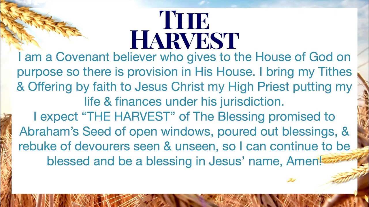 The Harvest: Prepared Harvest Table Series: Eat The Harvest that's Been Prepared & Put On Your Table