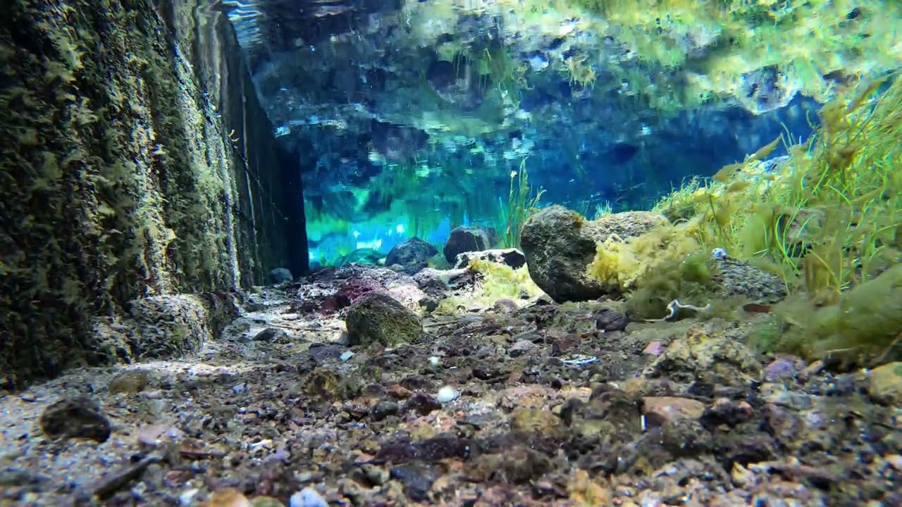 Ojo de agua Characato 2/10/25