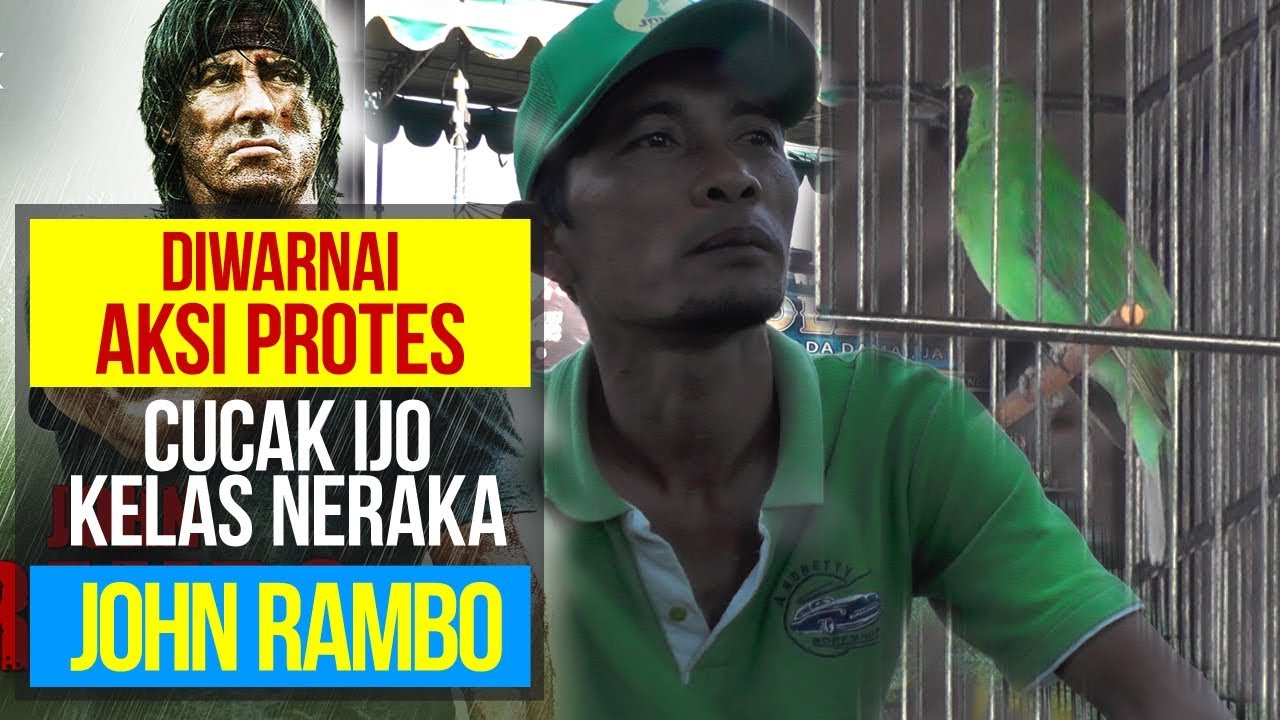 DIWARNAI AKSI PROTES !! CUCAK IJO KELAS NERAKA , JOHN RAMBO NEMBAK NGEROLL PANJANG