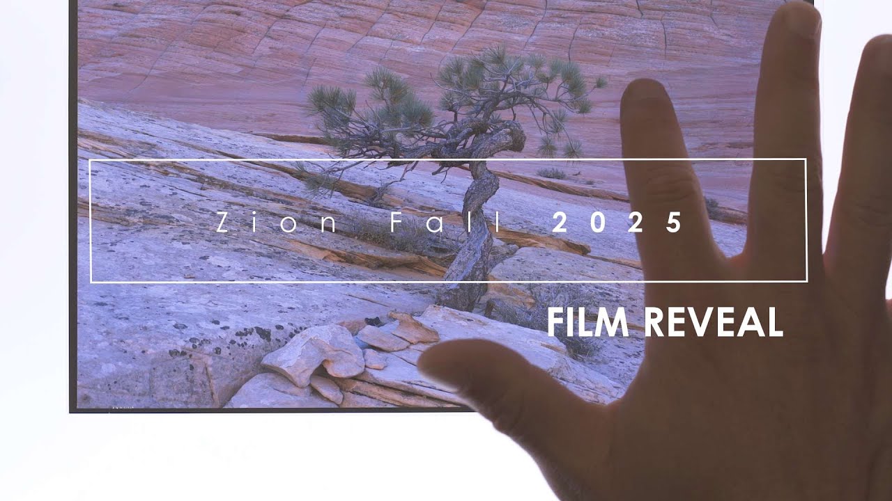 Премьера фильма «Зион» осенью 2025 года.
