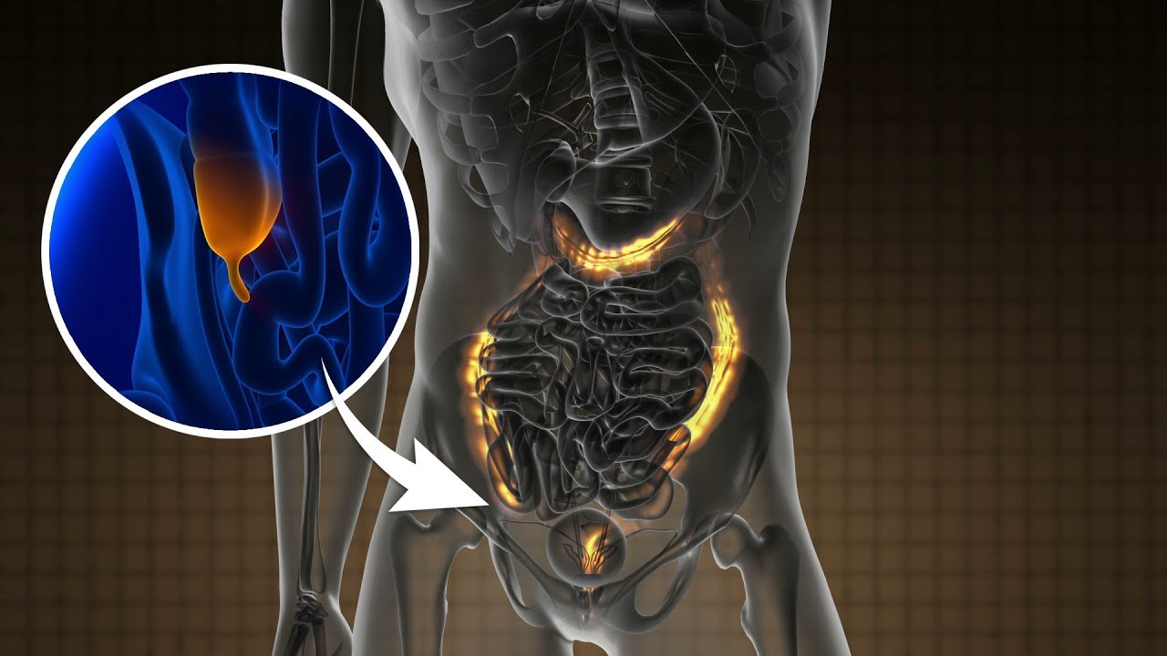 Top 5 functions of the Appendix