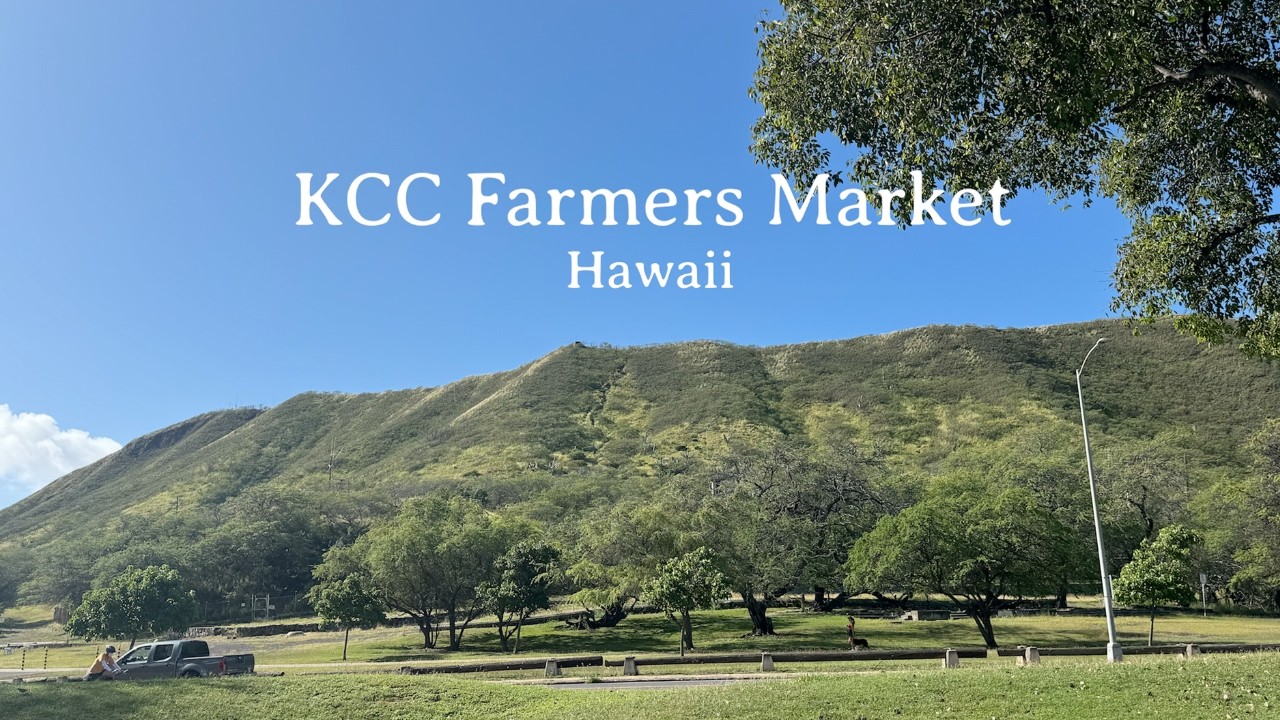 【ハワイ】KCCファーマーズマーケットへ行ってきた🌱 (2026年2月最新)