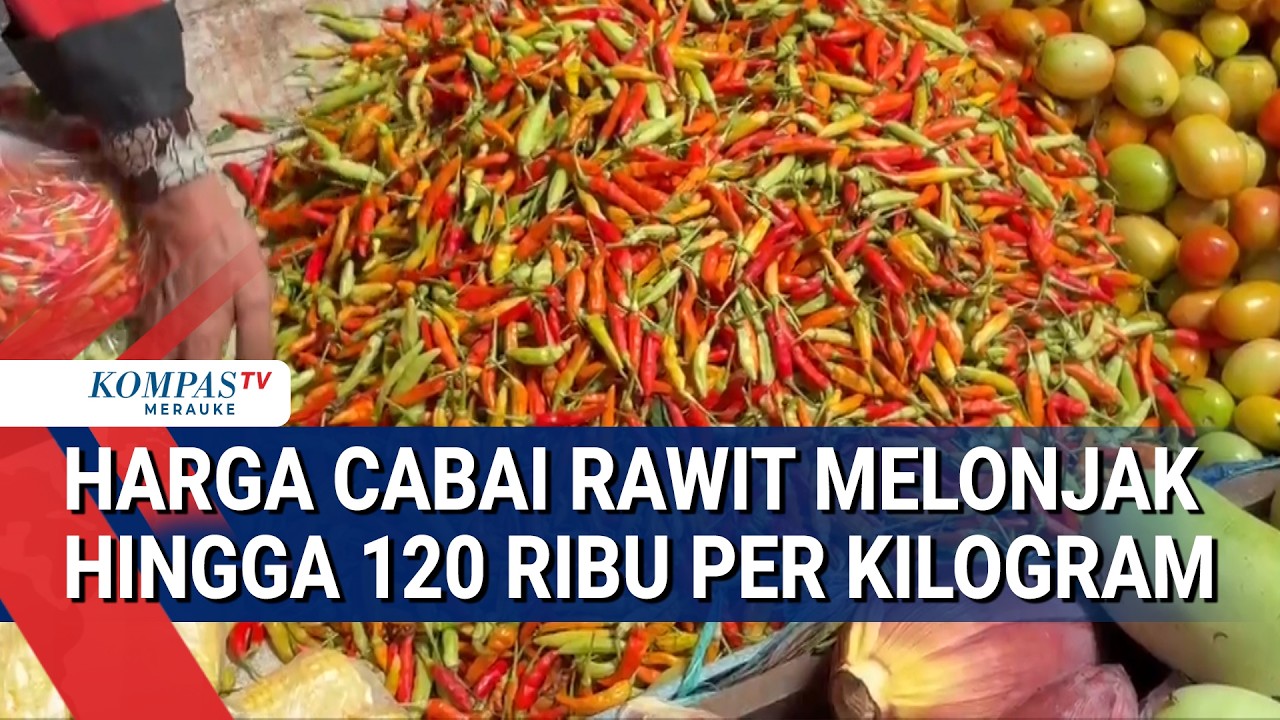 Harga Cabai Rawit Melonjak Hingga 120 Ribu Per Kilogram