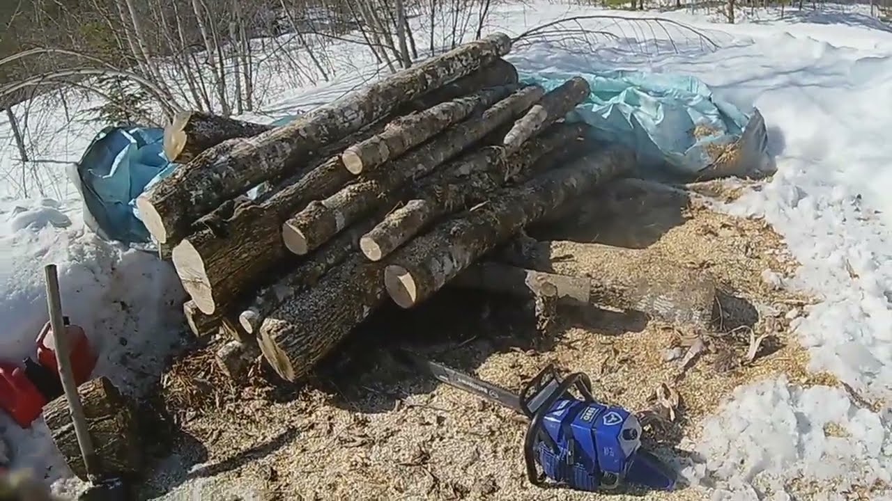 Best firewood chainsaw G660