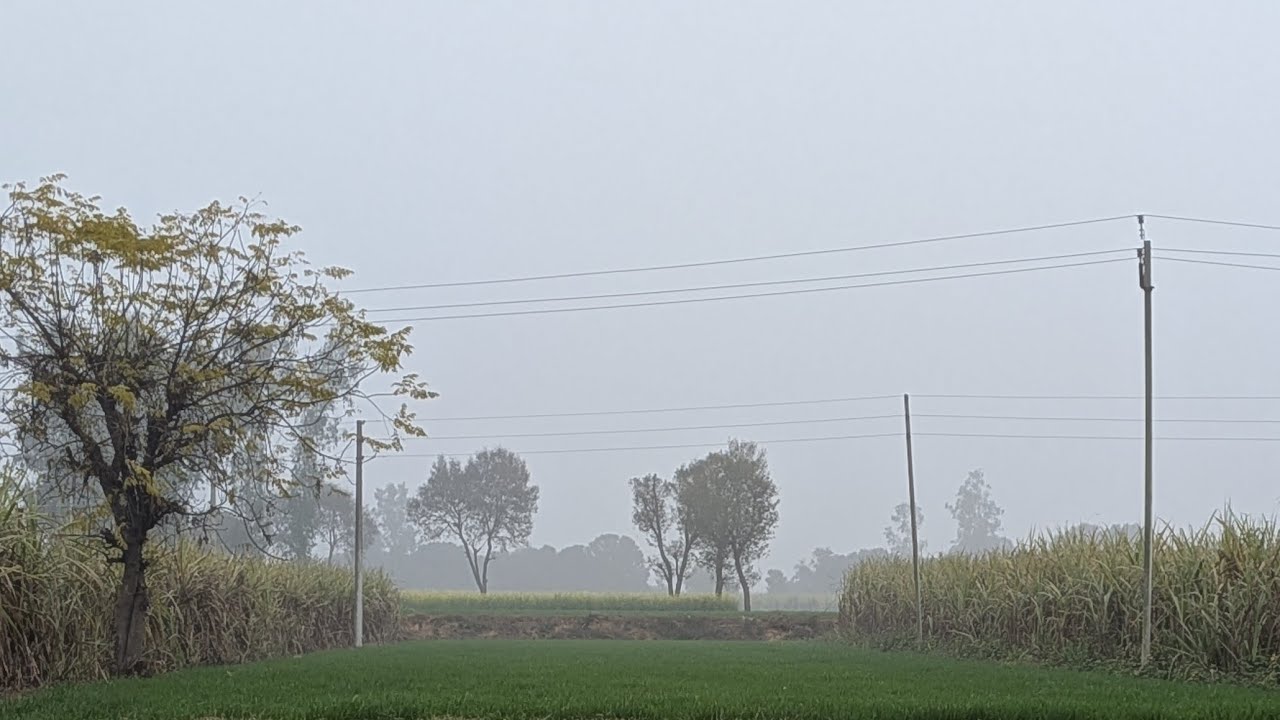 किसान का खेत में दिनभर का संघर्ष,