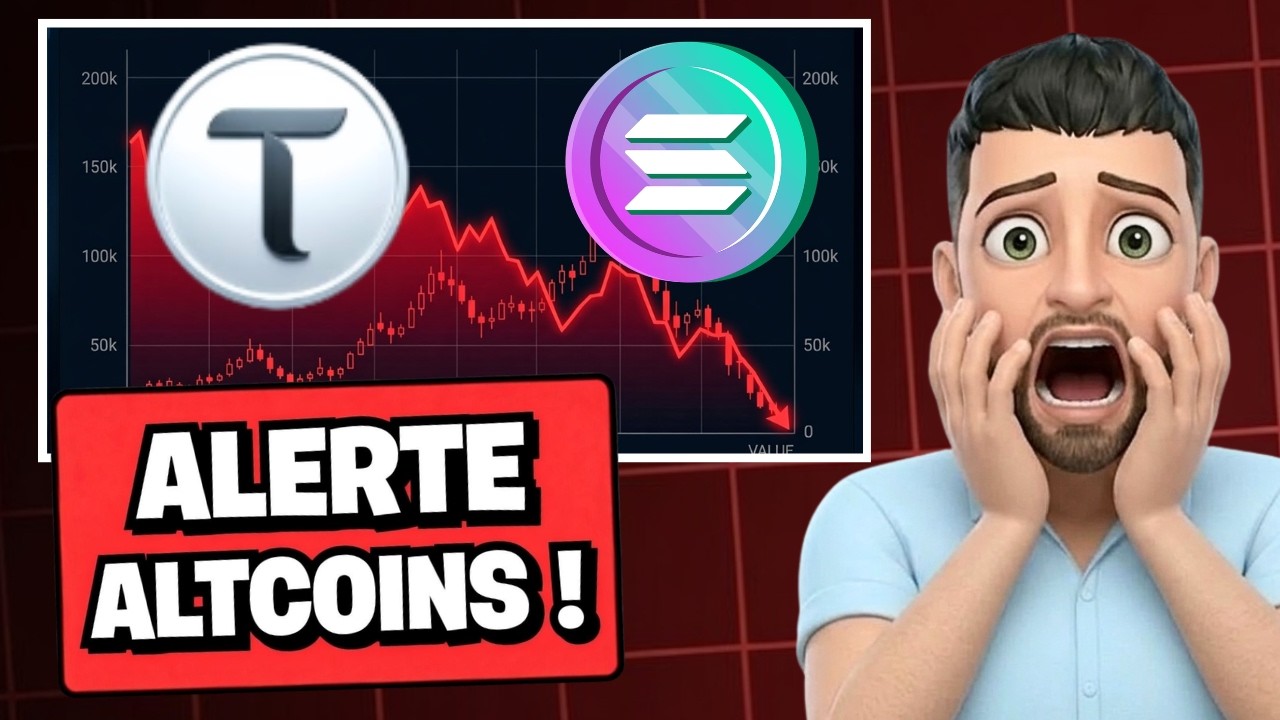 CRYPTO : Tout Peut BASCULER dans 48H 🚨 (Attention sur les ALTCOINS FAIBLES !)