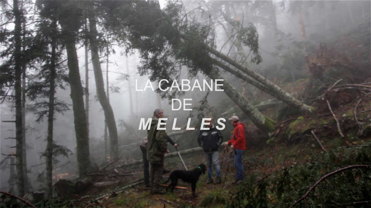La Cabane (version courte)