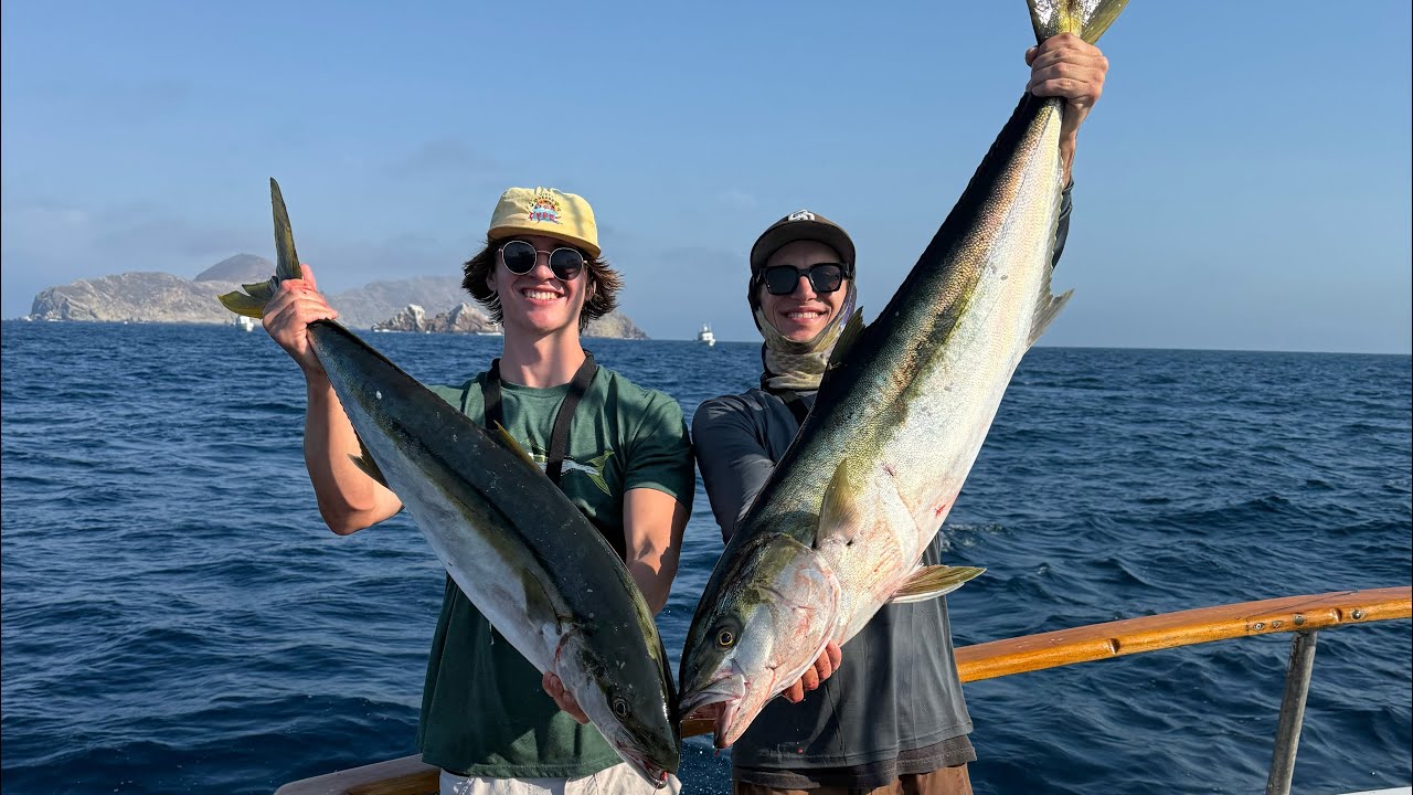 Cornado island fly line