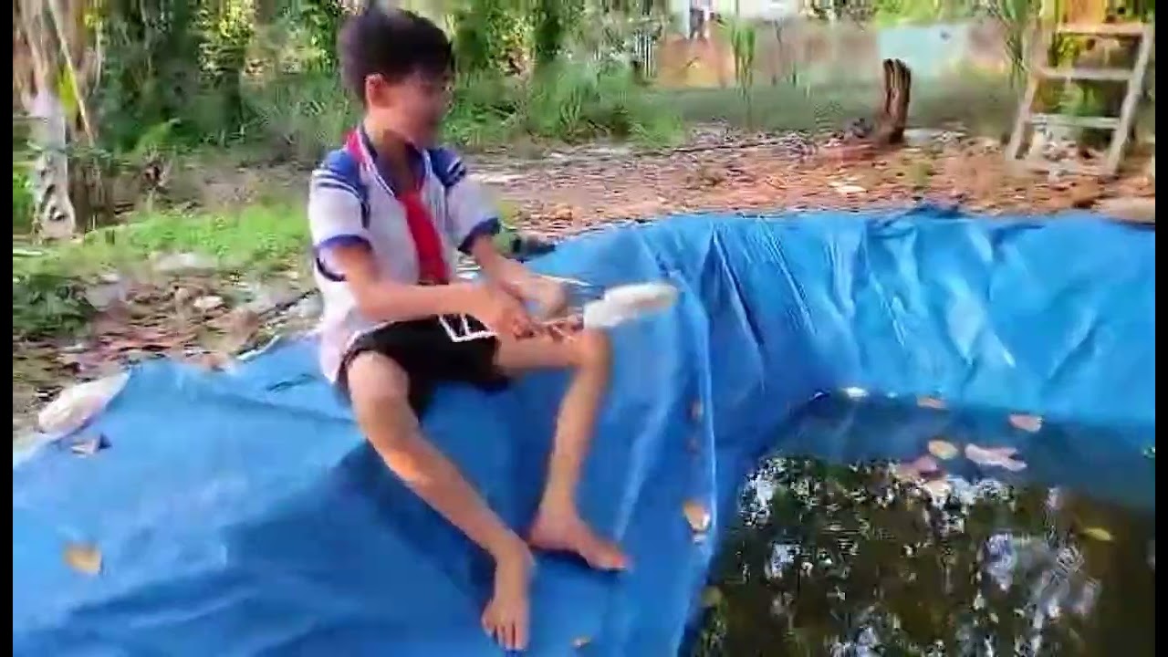 Bo bo phi&ecirc;n bản mới 