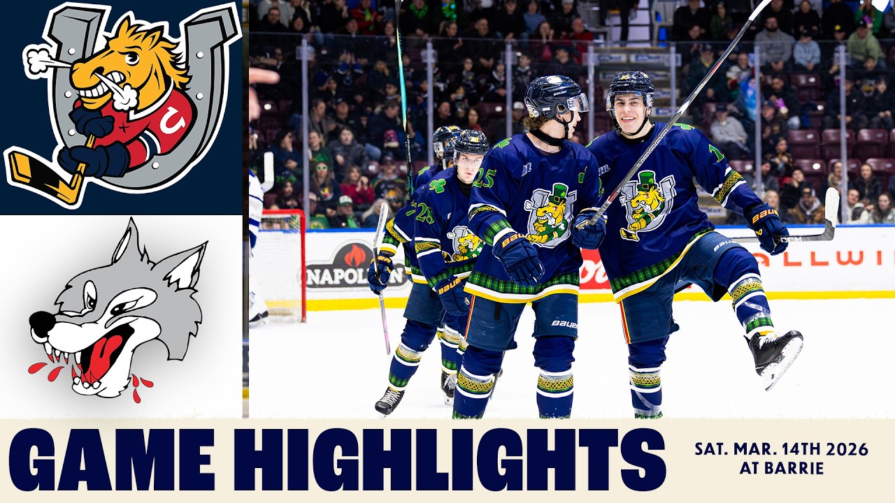 Матч между командами Sudbury Wolves и Barrie Colts — 14 марта 2026 года.
