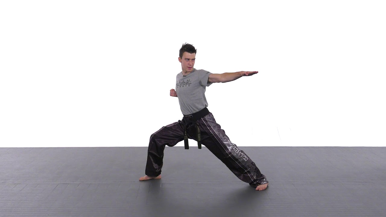 Danny Etkin Sport Karate Tip: Clean, Sharp Hand Movements