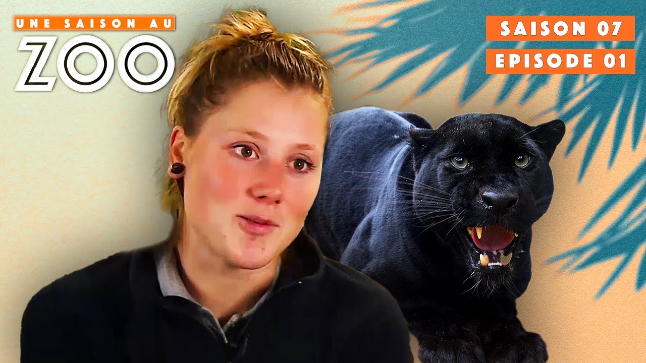 Charlotte est de retour au Zoo ! | S07EP01 | Émission Intégrale | Une Saison Au Zoo