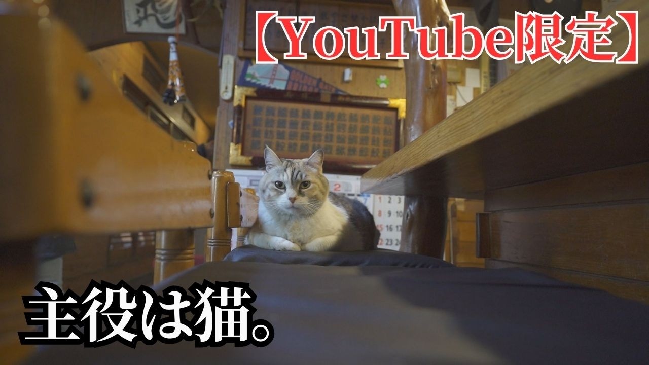 【YouTube限定】【埼玉グルメ】寿司屋に入ったら、主役は猫でした。【ねこぐるめ／寿司あたご】