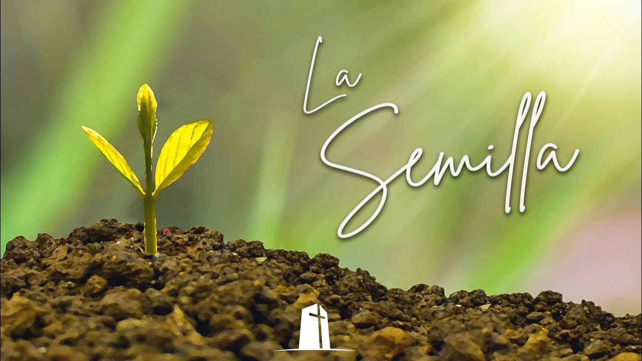 Protege la semilla - Pastora Alma Salgado
