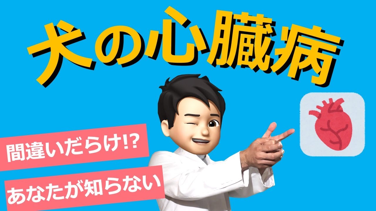 【犬の心臓病】間違いだらけ!?『犬の心臓病』