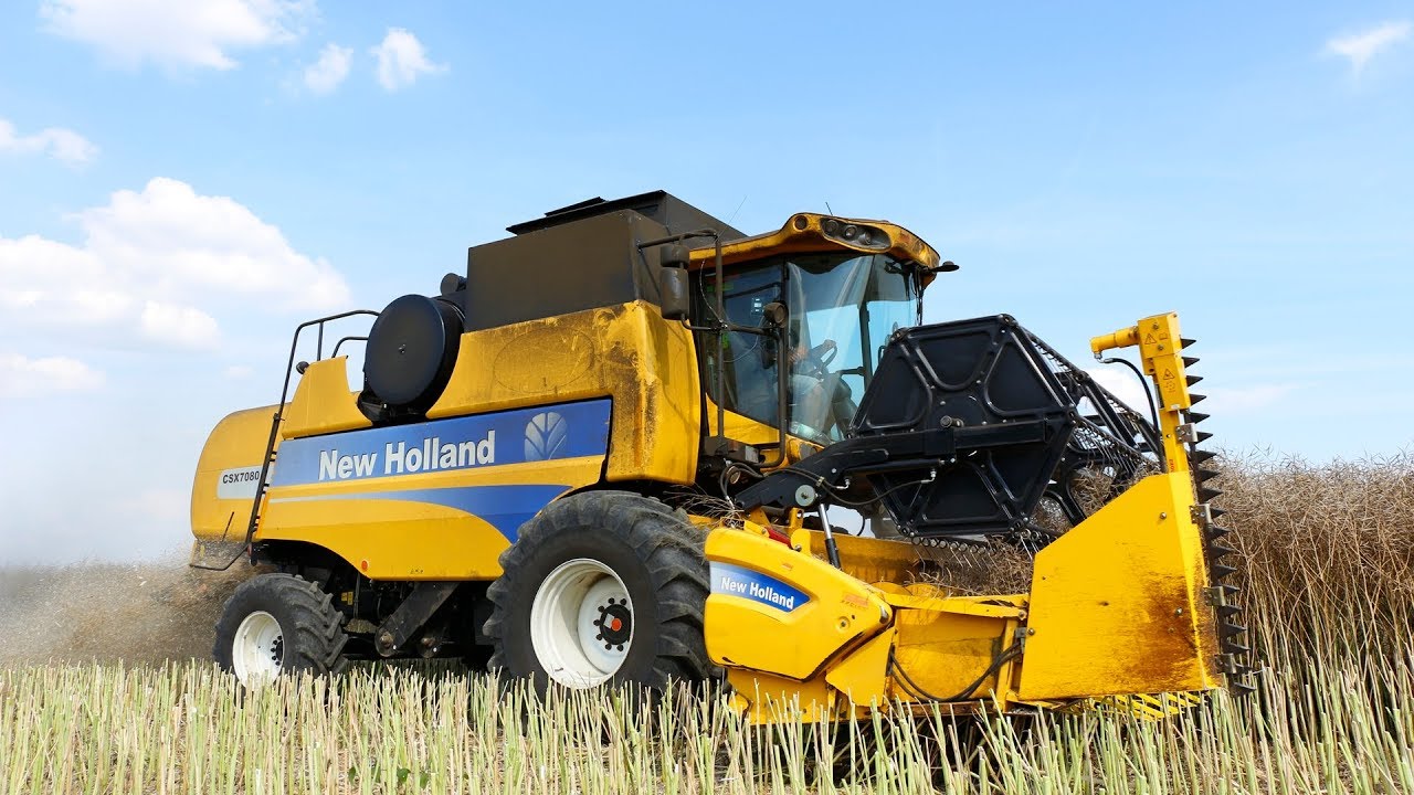 Żniwa rzepakowe - Małopolska - New Holland CSX7080, T7.220, T7.270