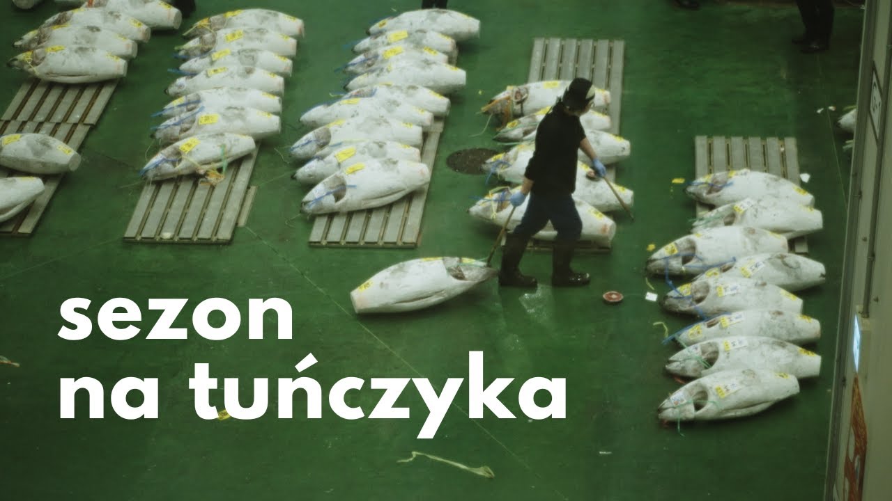 Ile kosztuje ryba w Japonii? Największy targ rybny świata w Tokio #japan #tsukiji
