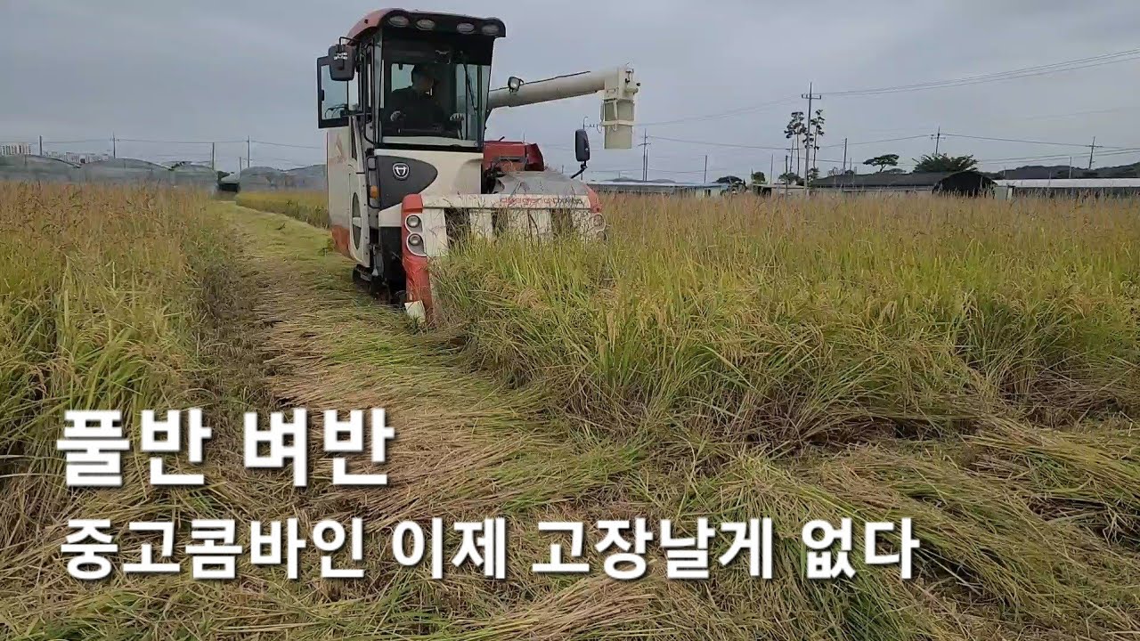 14년된 대동 DXM85콤바인...비가 온다기에 풀밭이 되어버린 논 벼베기