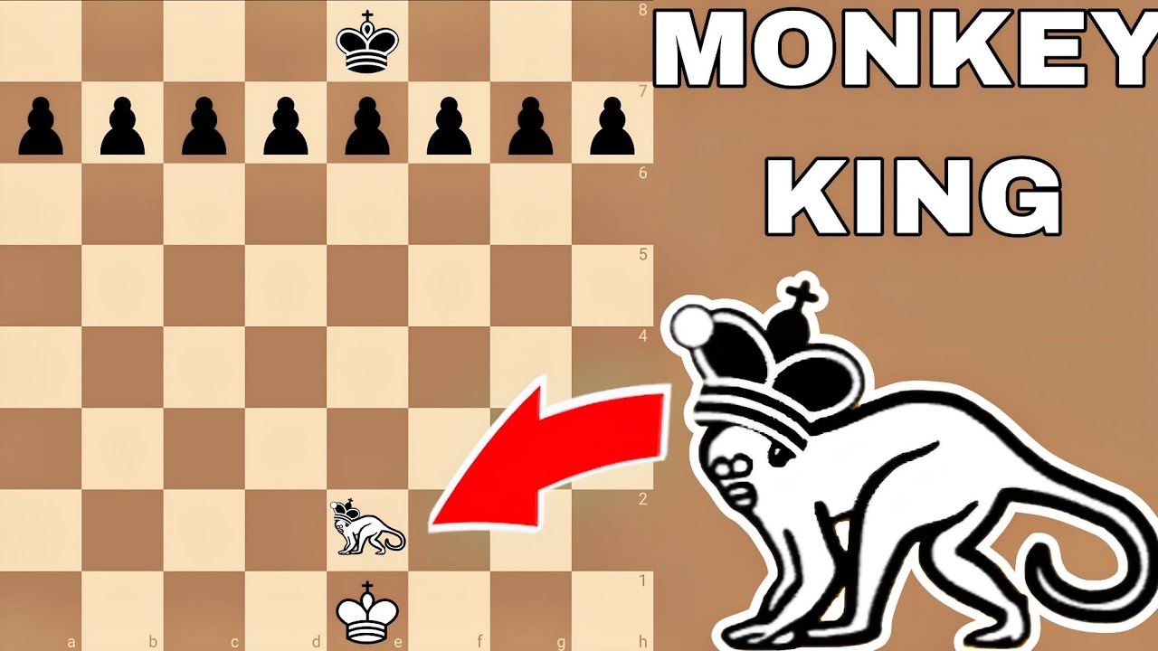 When MONKEY KING enters in Chess Board. 