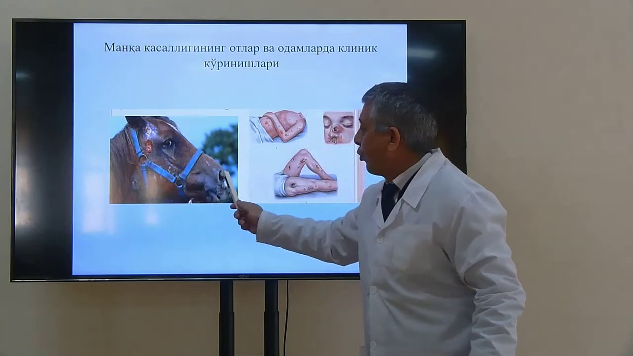 Mavzu: Otlarning manqa kasalligi